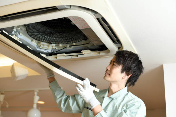 Best Air Vent Cleaning Services  in Spring Grove, MN